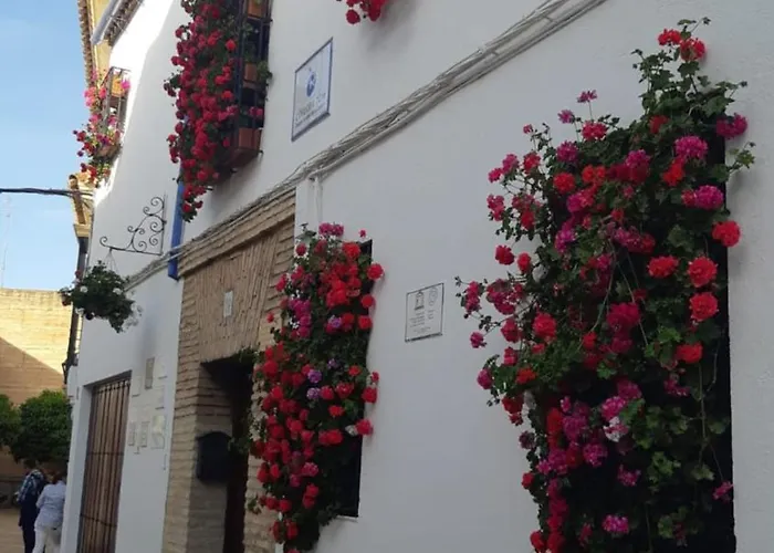 Διαμέρισμα El Rincon De Jesus Y Loli *